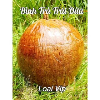 Bình trà trái dừa không sơn màu/ấm trà/bình giữ nhiệt bằng dừa