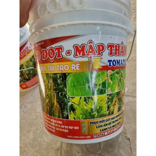 Xô kéo đọt - mập thân