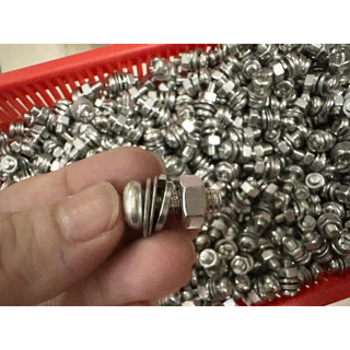 Túi 100 gram vít inox 304 có vòng đệm - Tự chọn kích thước