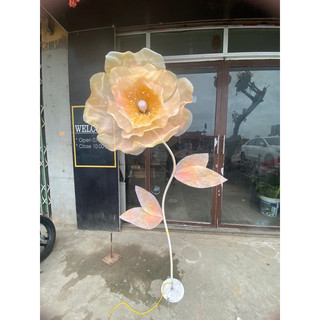 Hoa voan khổng lồ