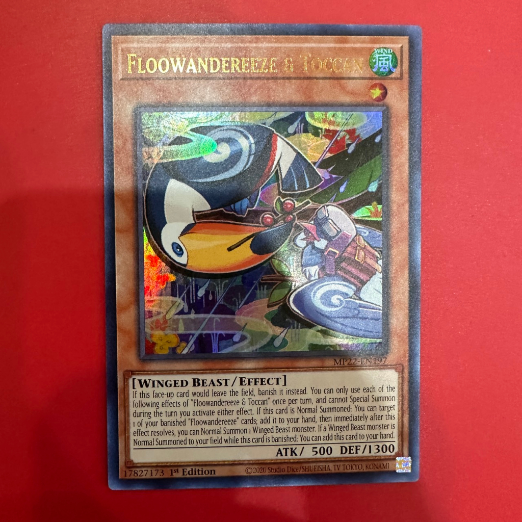 Floowandereeze & Toccan