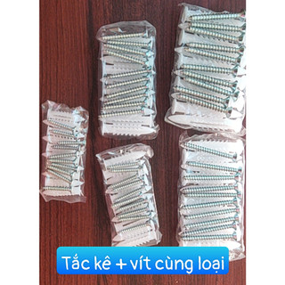 [VÍT NỞ - TẮC KÊ NHỰA] TẮC KÊ 6 KHÍA
