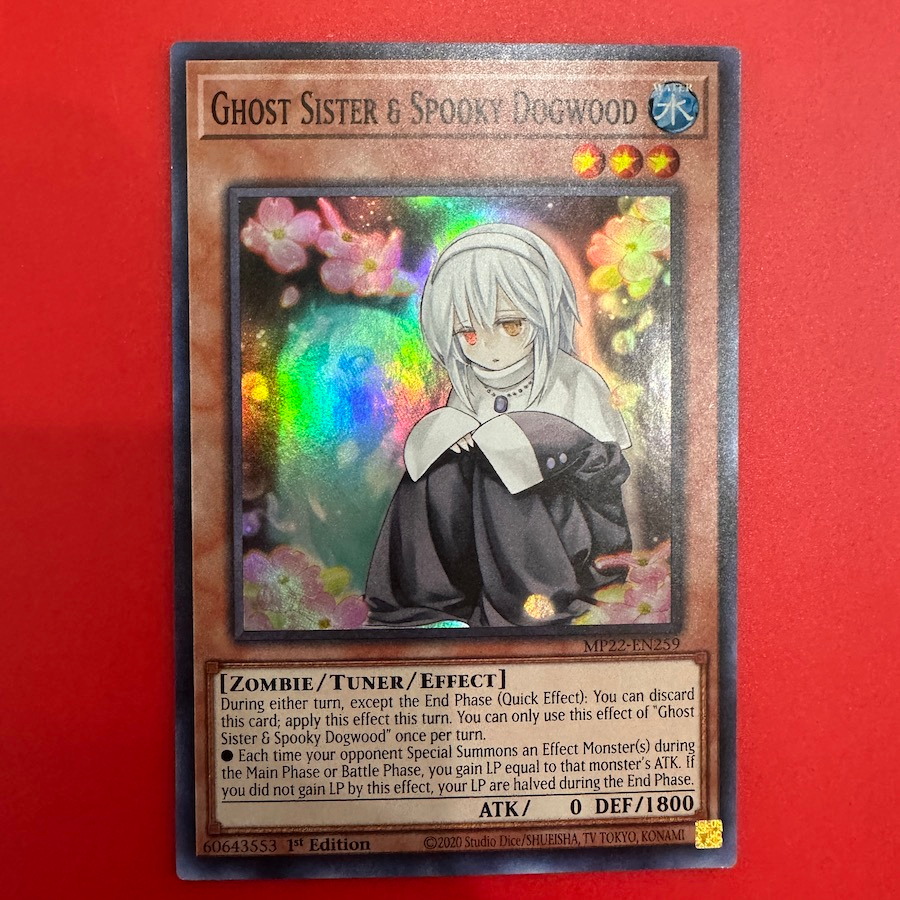 'Ghost Sister & Spooky Dogwood'