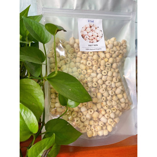 Hạt sen đồng tháp sấy khô 47food