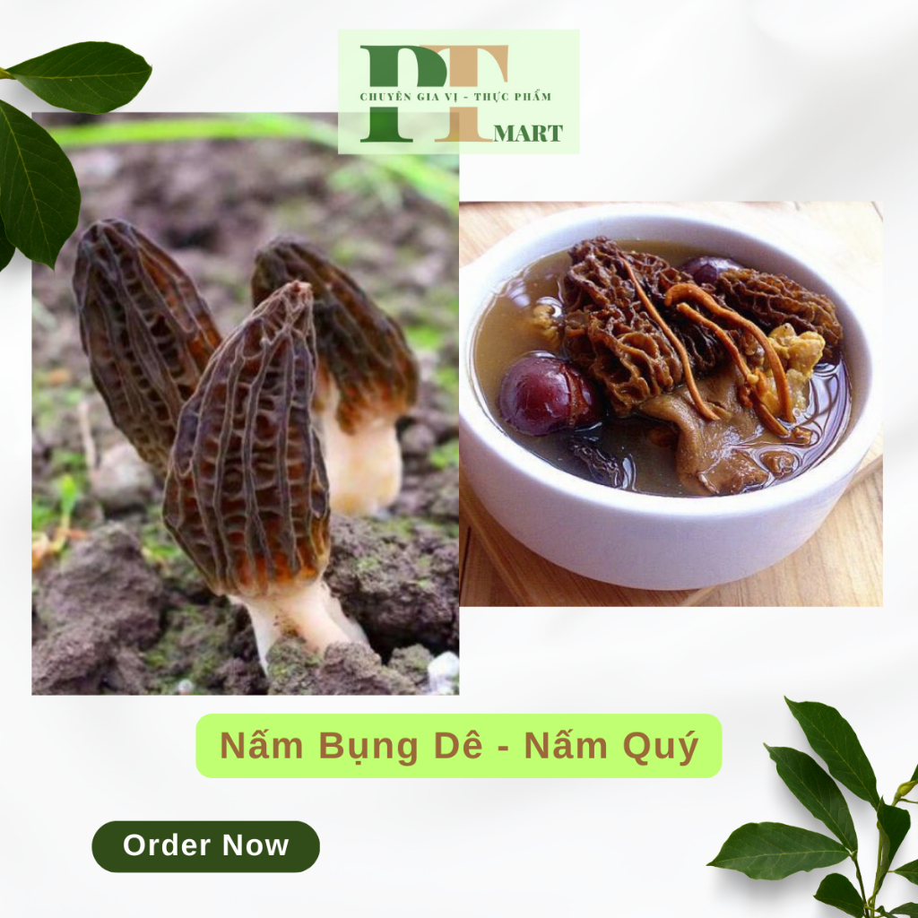 Nấm bụng dê 💎Nấm quý hiếm💎