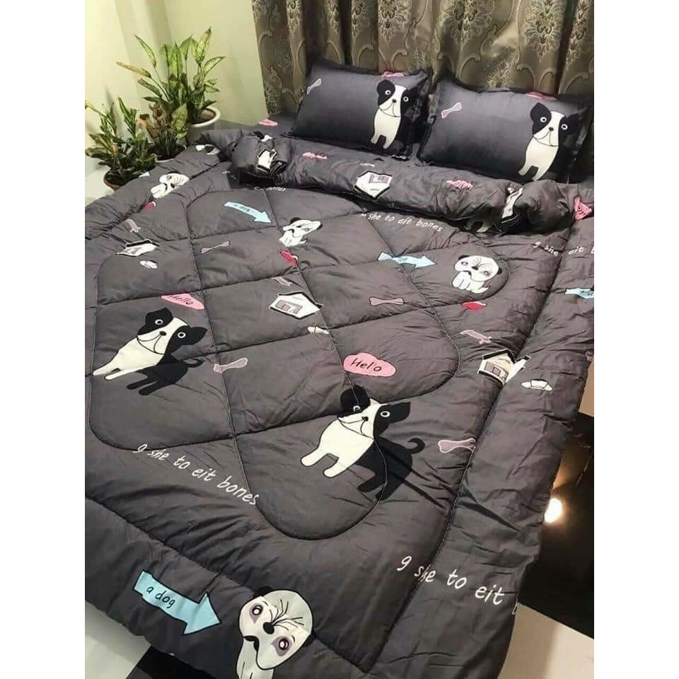 Chăn Phao Trần Bông Dày Dặn , mền Phao Cực Ấm Chất Liệu Poly Cotton Kích Thước 1M8*2M Được Chọn Mẫu - [LÁ NGỌC VÀNG]