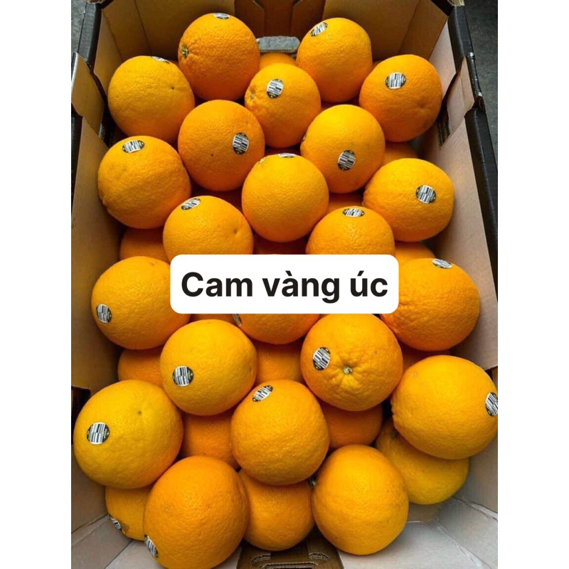Cam vàng úc 1kg
