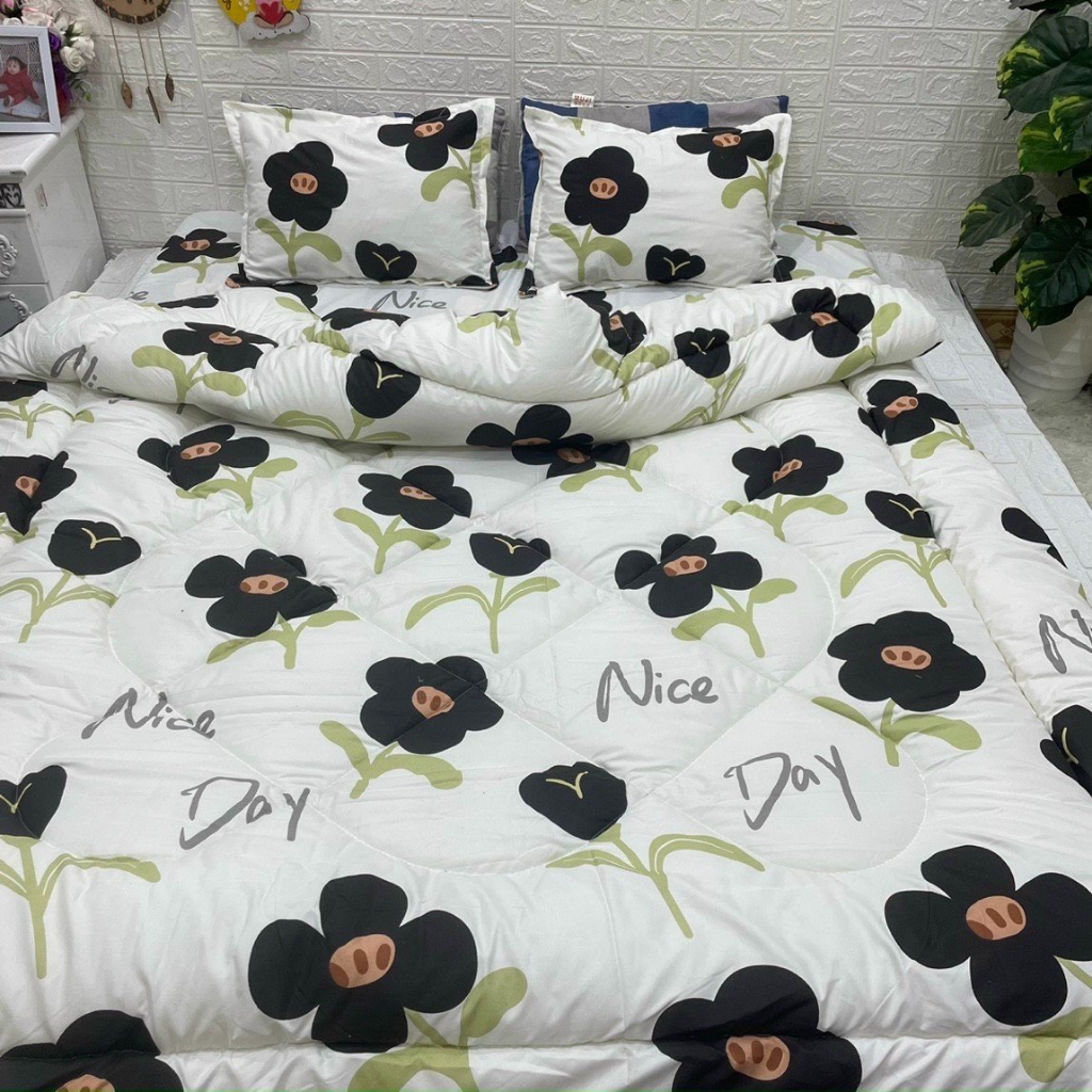 Chăn Phao Siêu Nhẹ Trần Bông Hơi Dày Dặn - Kích Thước 1m8 x 2m - Mẫu mã trẻ trung, năng động - [VỊT HỒNG]