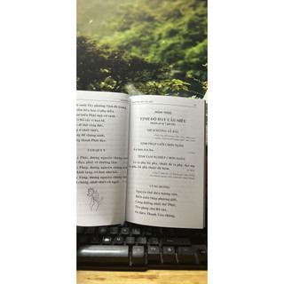 Sách - Kinh Nhật Tụng Rồng ( Thích Đăng Quang. HTRa)