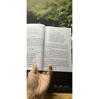 Sách - Kinh Nhật Tụng Rồng ( Thích Đăng Quang. HTRa)