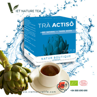 Trà Actiso Natur Boutique FITO (20 Teabags) Artichoke Tea