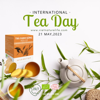 Trà Gừng Hữu Cơ Natur Boutique FITO Organic Ginger Green Tea