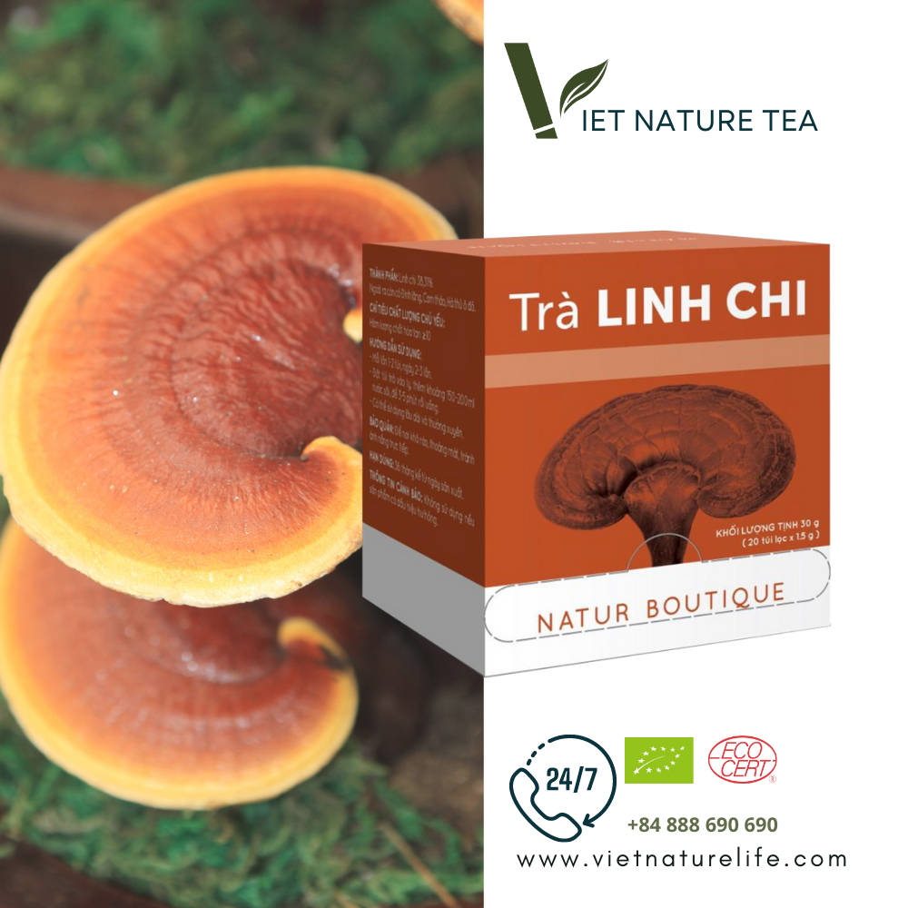 Trà Nấm Linh Chi Natur Boutique FITO Reishi Mushroom Tea (20 teabags)