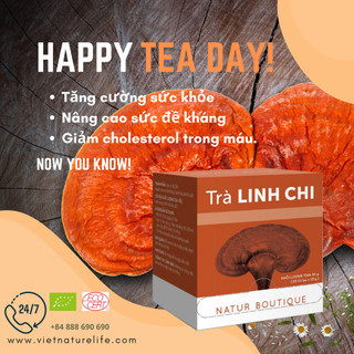Trà Nấm Linh Chi Natur Boutique FITO Reishi Mushroom Tea (20 teabags)