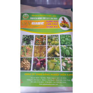 Phân bón lá kích tố ga3 + naa dx gibe