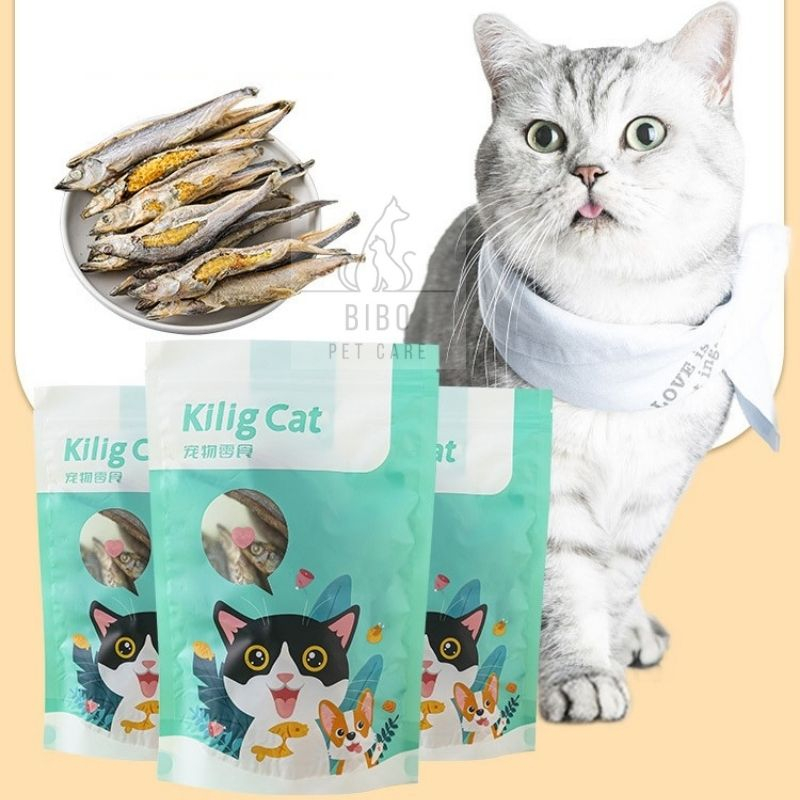 Bánh thưởng cho mèo Kilig Cat cá trứng sấy giòn thơm ngon cung cấp dinh dưỡng túi 15g -Bibopetcare