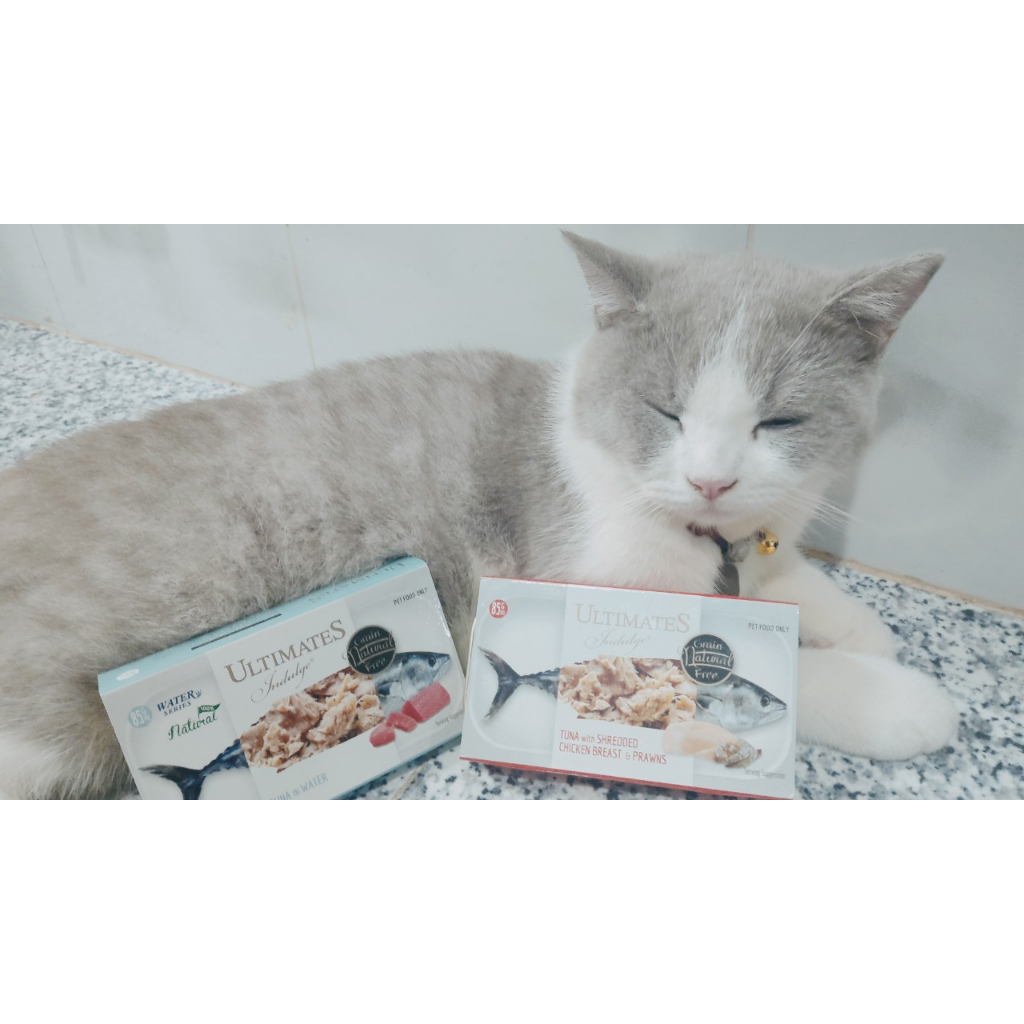 pate ultimates indulge by snappy tom hộp 85gram cho mèo mọi lứa tuổi