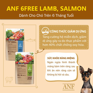 thức ăn hạt  ANF 6Free cho chó loại 2kg ( nguyên liệu hữu cơ) - T3 PETS SHOP