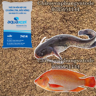 1kg cám cá cargill 7414 (xay) 40% đạm cho cá ăn hoặc dùng câu cá,tra,điêu hồng,chép,rô phi