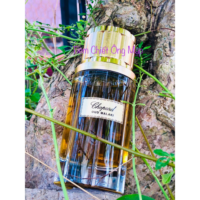 (Chiết Ông Mập) Mẫu thử nước hoa Oud Malaki