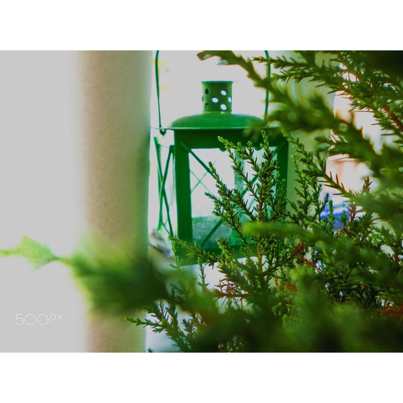 Máy ảnh Panasonic Lumix DMC S2 14.1Mpx