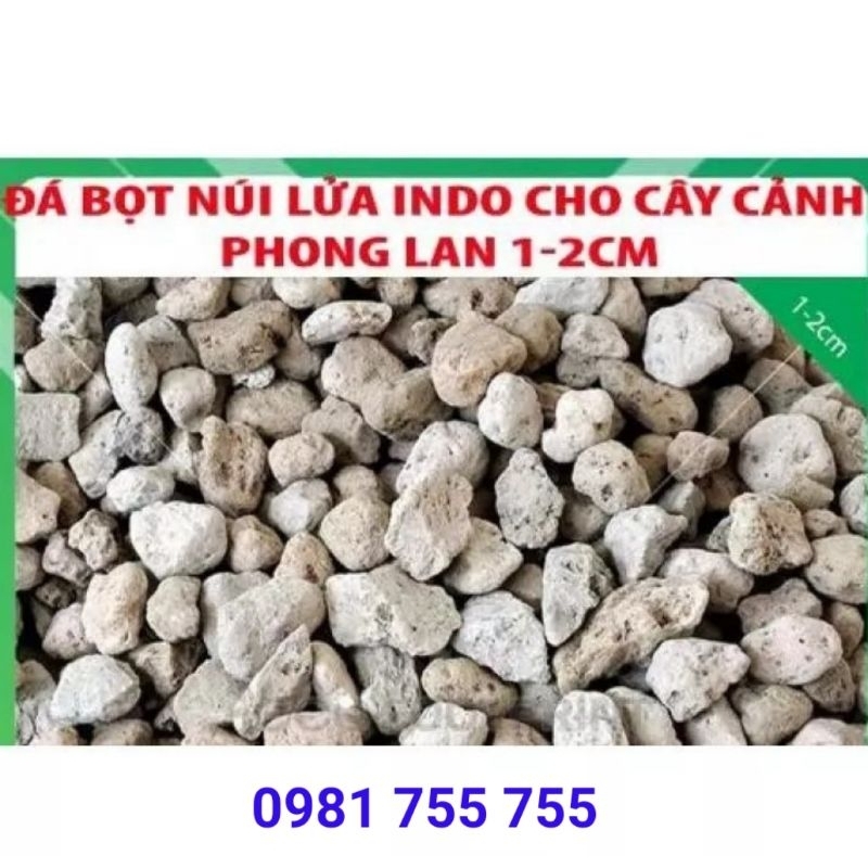 ĐÁ BỌT NÚI LỬA PUMICE STONE