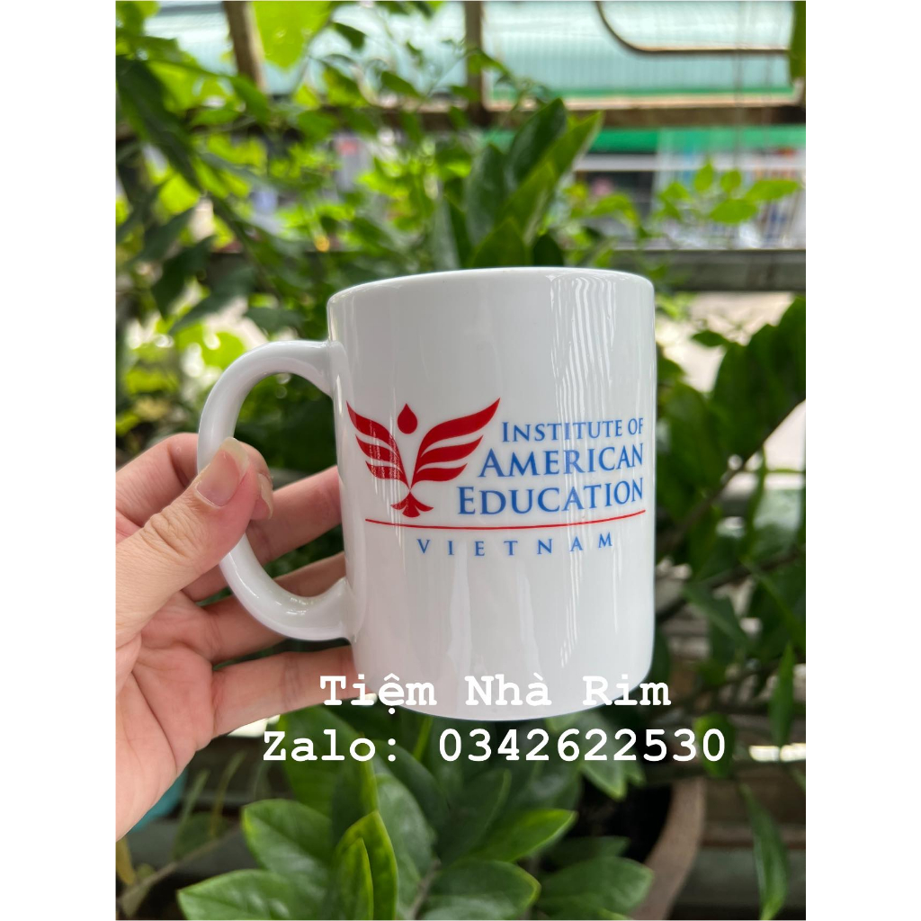Ly sứ tráng men cao cấp, quai dày dặn