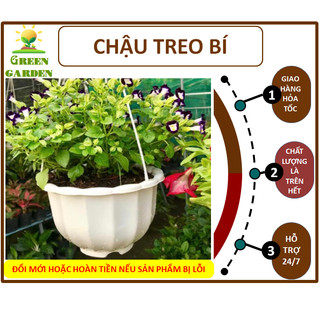 Chậu nhựa trồng cây, chậu treo bí kèm dây treo