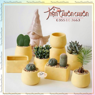 Chậu hoa sứ miệng Tròn, Vuông, Oval màu Vàng Pastel - tiemchuonchuonchuon , tiệm chuồn chuồn - Sứ Bát Tràng