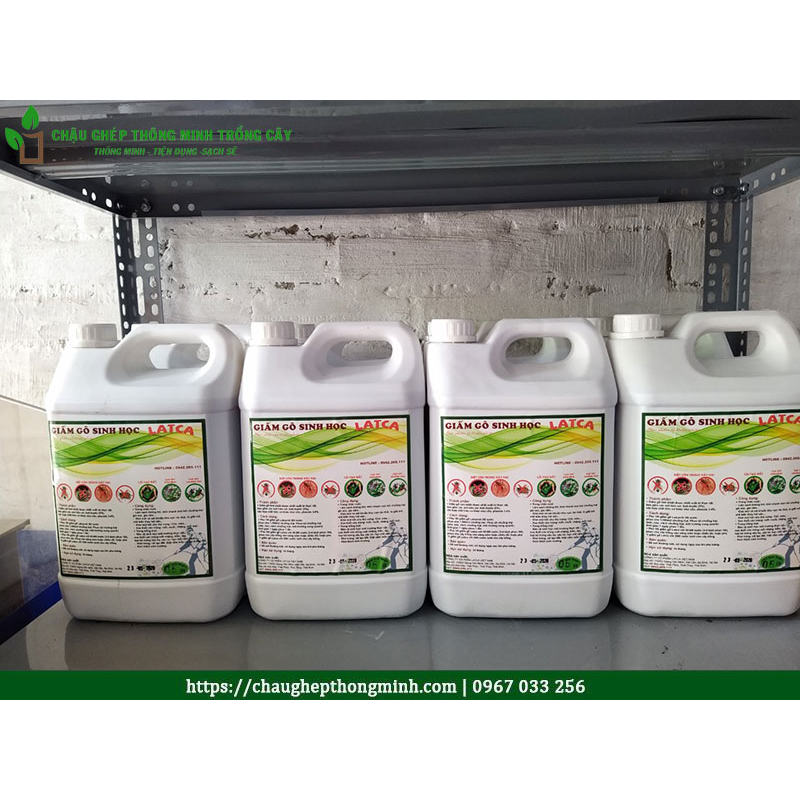 Giấm gỗ sinh học Latca nguyên chất can 5 lít