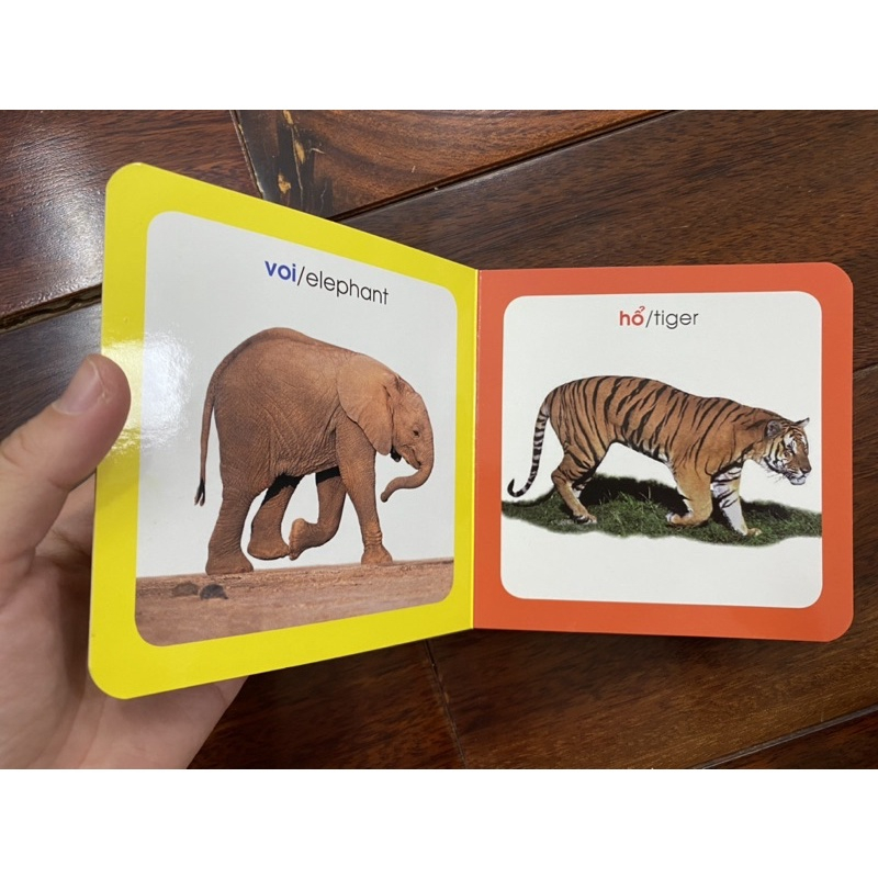 Sách - Từ điển hình ảnh cho bé