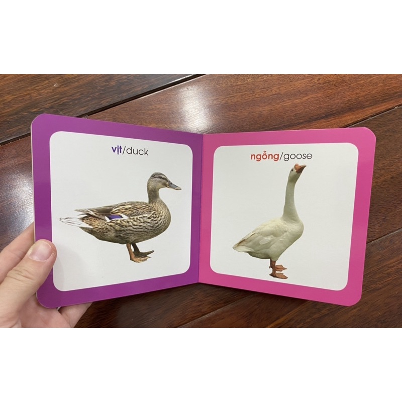 Sách - Từ điển hình ảnh cho bé