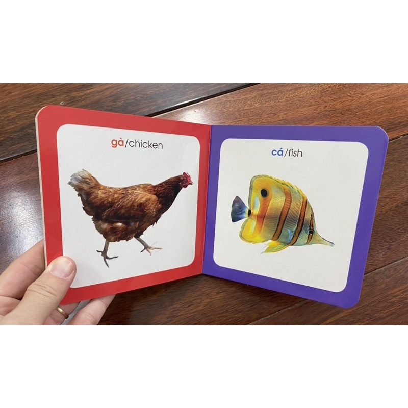 Sách - Từ điển hình ảnh cho bé