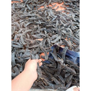 Bồ kết khô chuẩn 1 kg