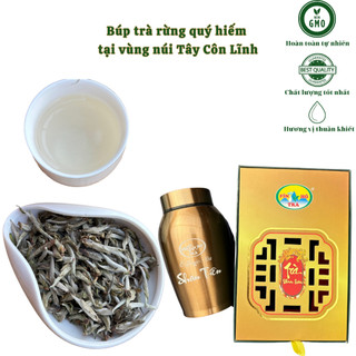 Bạch Shan tiên - Trà hoang dã