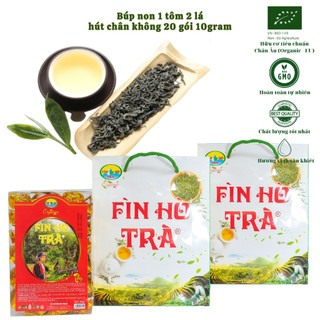 Trà xanh shan tuyết hữu cơ - fìn hồ trà
