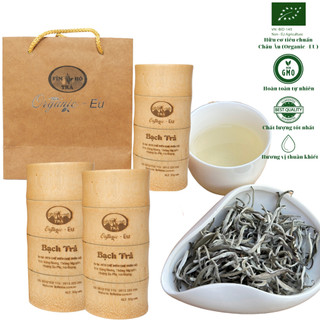 Bạch trà shan tuyết hữu cơ châu âu - fìn hò trà