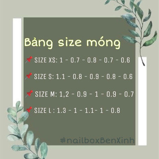 NailBox Thạch Viền Trắng Đính Đá