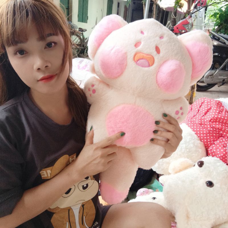 ❤️ Gấu -mèo du du ❤️