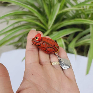 Nhái hơi mắt lồi