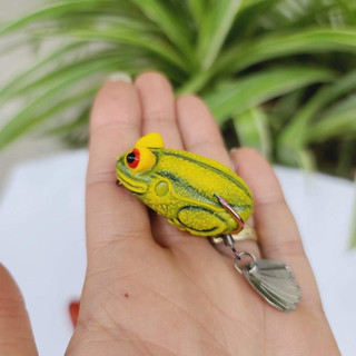 Nhái hơi mắt lồi