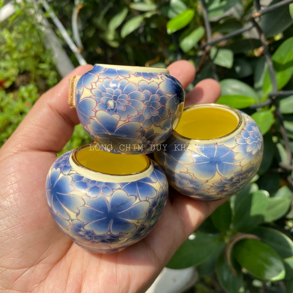 Cóng bách hoa chào mào mẫu hot nhất 2023, màu xanh coban 4 dáng - phụ kiện lồng chim Duy Khang