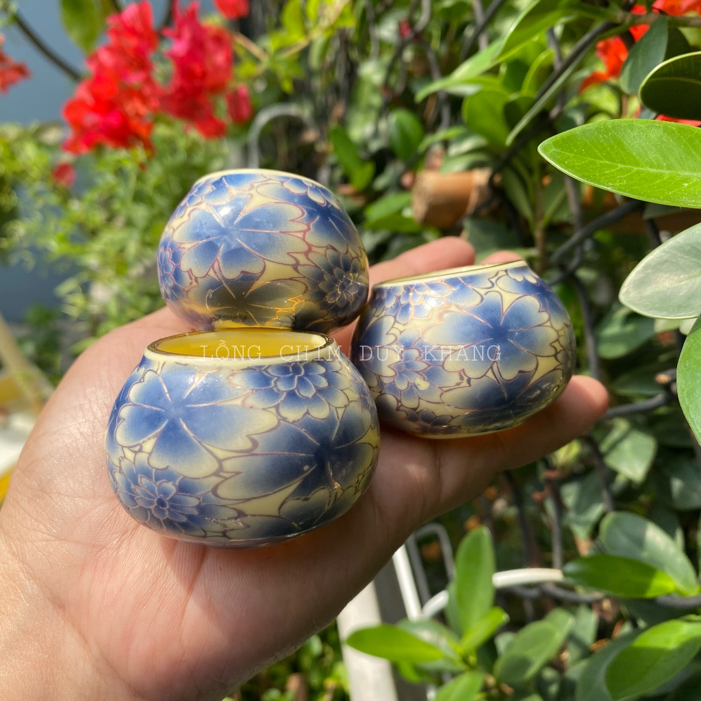 Cóng bách hoa chào mào mẫu hot nhất 2023, màu xanh coban 4 dáng - phụ kiện lồng chim Duy Khang