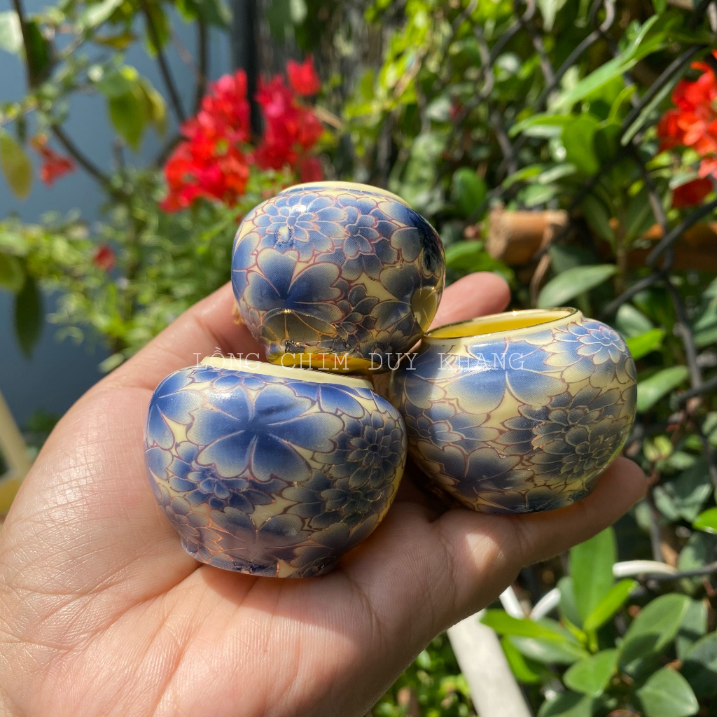 Cóng bách hoa chào mào mẫu hot nhất 2023, màu xanh coban 4 dáng - phụ kiện lồng chim Duy Khang