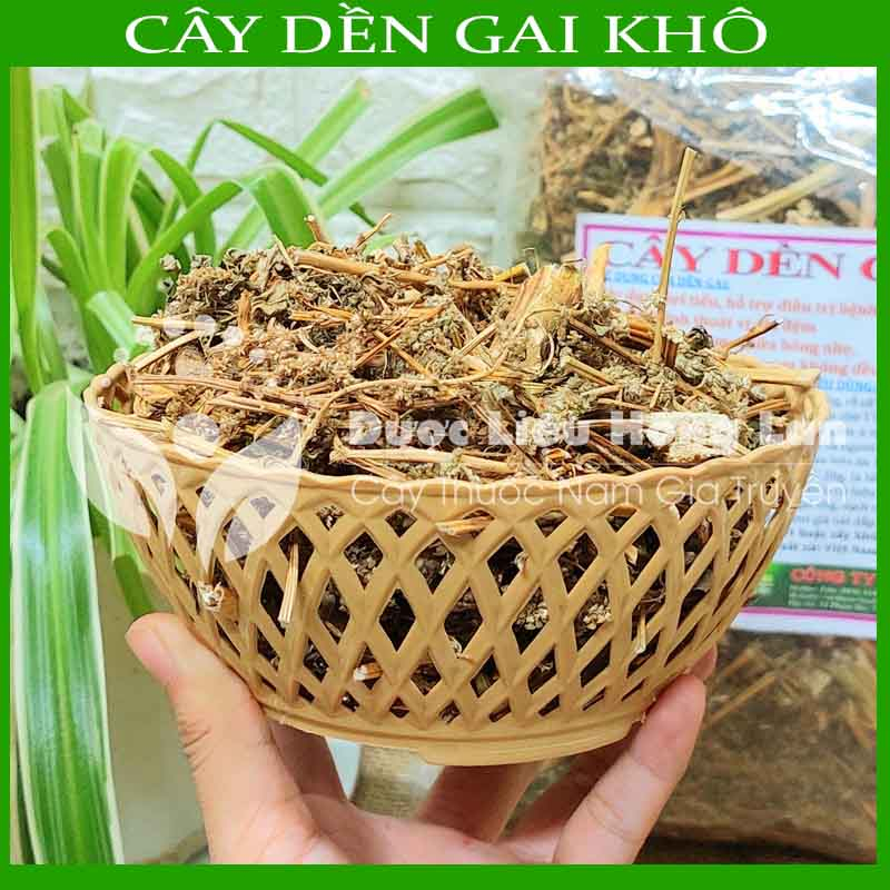 CÂY DỀN GAI khô sạch đóng gói 1kg - congtyduoclieuhonglan