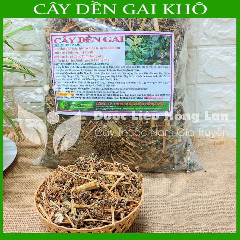 CÂY DỀN GAI khô sạch đóng gói 1kg - congtyduoclieuhonglan