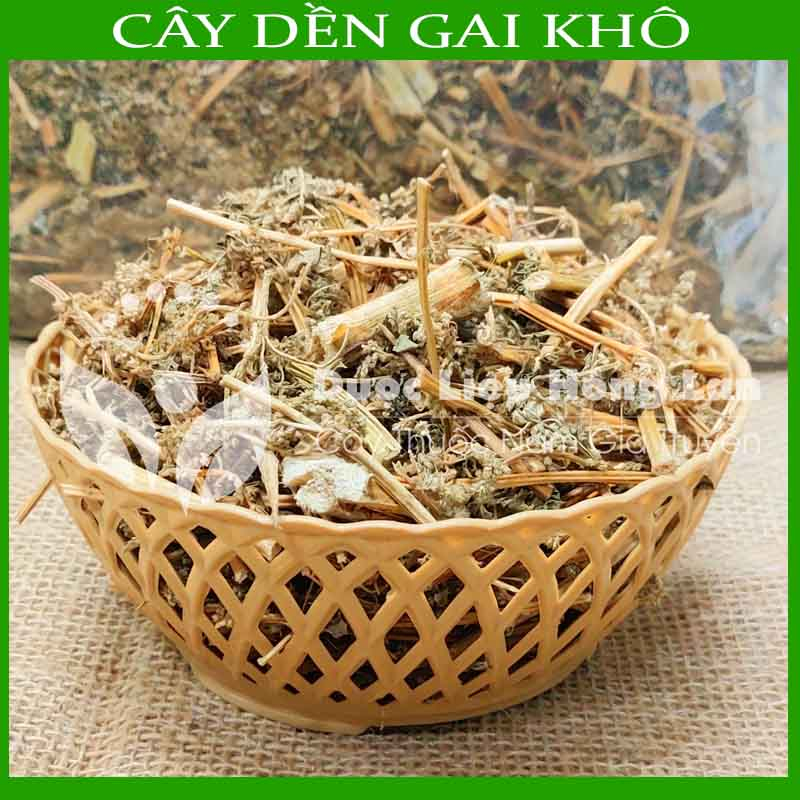 CÂY DỀN GAI khô sạch đóng gói 1kg - congtyduoclieuhonglan