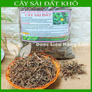 CÂY SÀI ĐẤT khô sạch đóng gói 1kg - congtyduoclieuhonglan