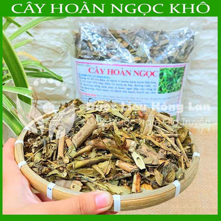 Thảo dược CÂY HOÀN NGỌC khô sạch đóng gói 500gram - congtyduoclieuhonglan