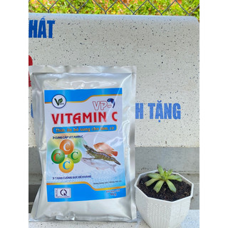 Vitamin C chống sốc, tăng sức đề kháng cho lươn cá ếch